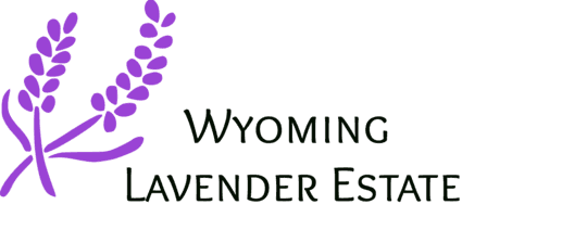 business image